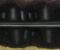 PercoStrip 6″–24″ drainage product