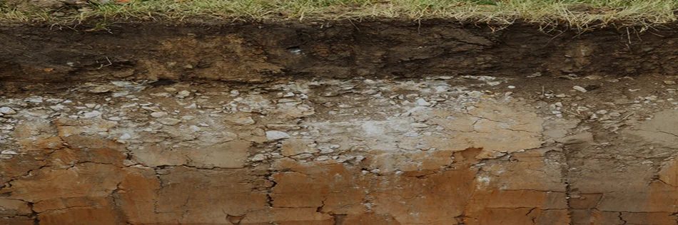 Soil consolidation with prefabricated vertical drains